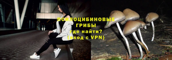 марки nbome Дмитровск