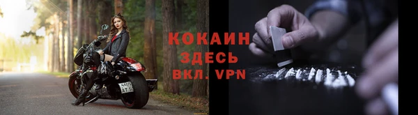 дживик Абаза