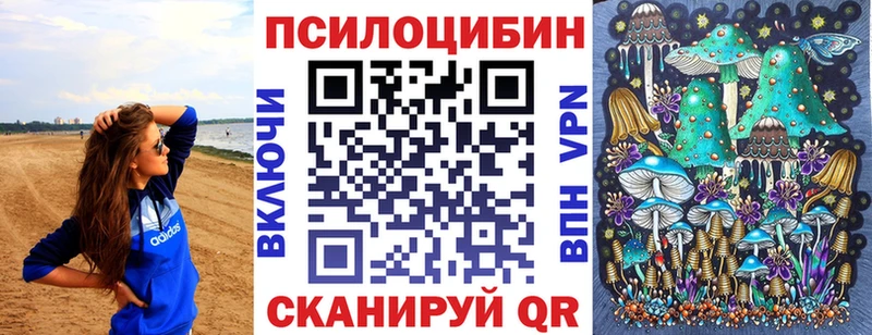 где купить наркоту Новочеркасск Галлюциногенные грибы Cubensis
